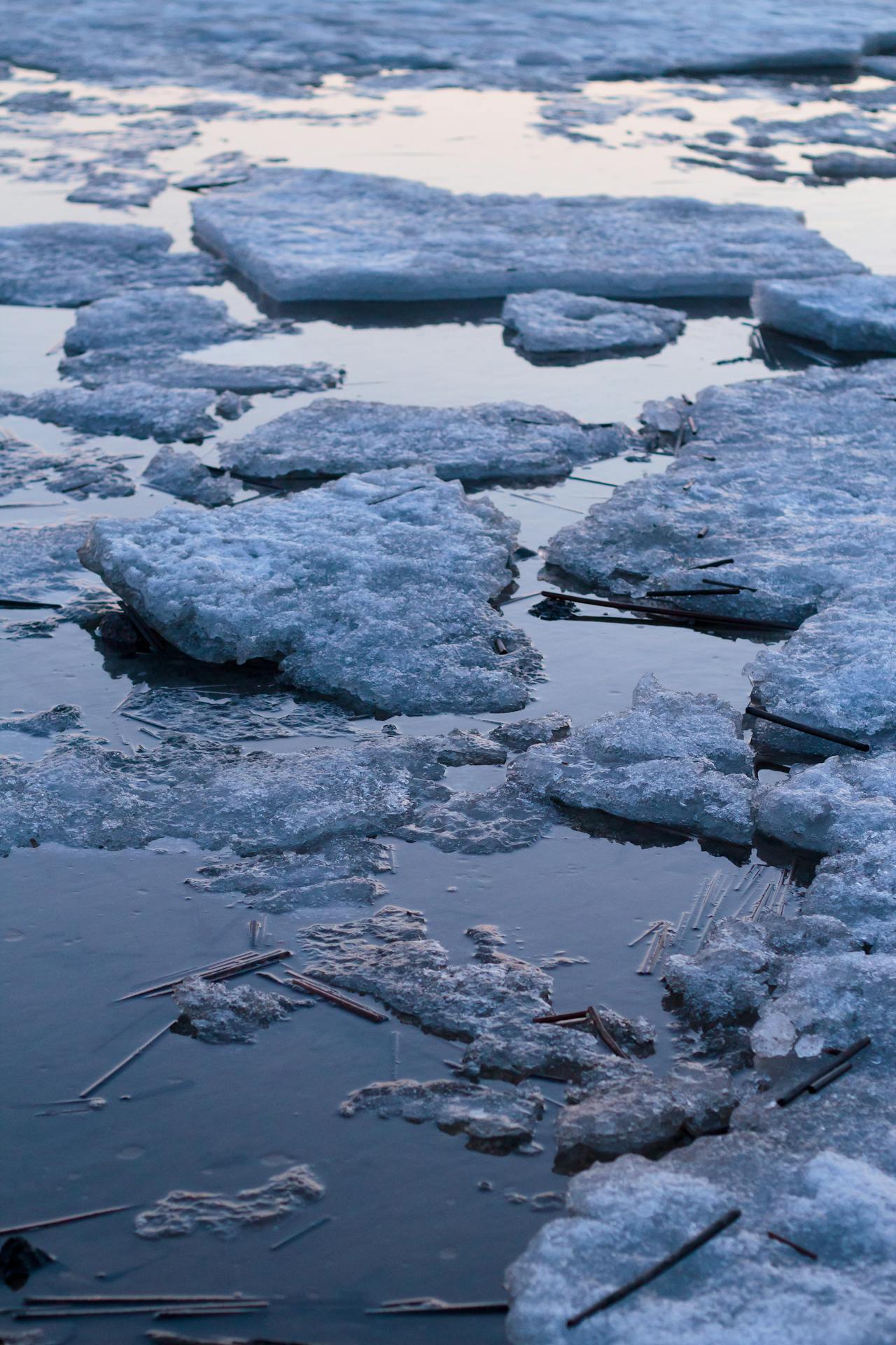 View of Ice Bergs